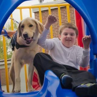 A boy on a slide with service dog