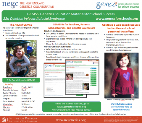 Image of printable poster promoting GEMSS